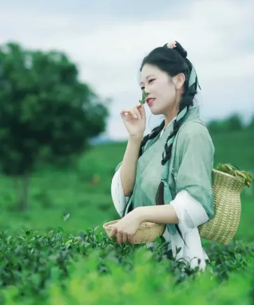 魔都探店指南-上海哪里小吃最地道？老弄堂里的绝美私房菜等你来寻😋