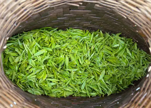上海外滩夜色哪个位置最出片？北外滩与陆家嘴天桥拍照机位