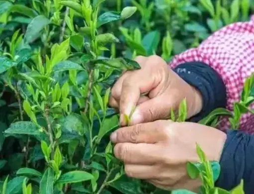 上海职场恋：同部门恋爱分手后，到底该怎么相处才不尴尬？😅