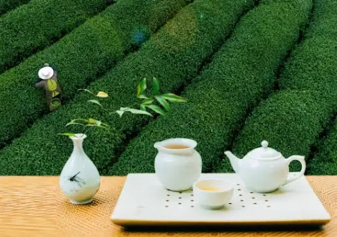 白茶功效与禁忌：适合什么人喝？这份饮用指南请收好🍵